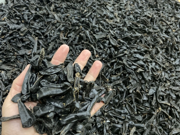 small4_17111942672443021 9001cc金沙制品