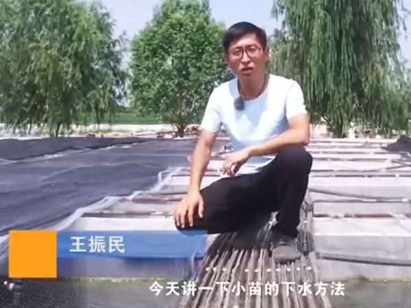 9001cc金沙幼苗的下水步骤