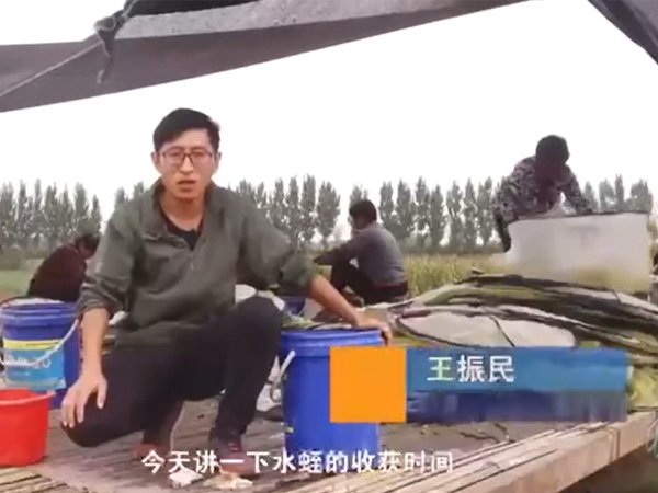 9001cc金沙收成功夫