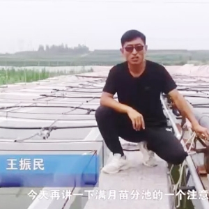 9001cc金沙满月苗确当苦衷项