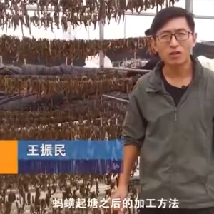 9001cc金沙加工步骤